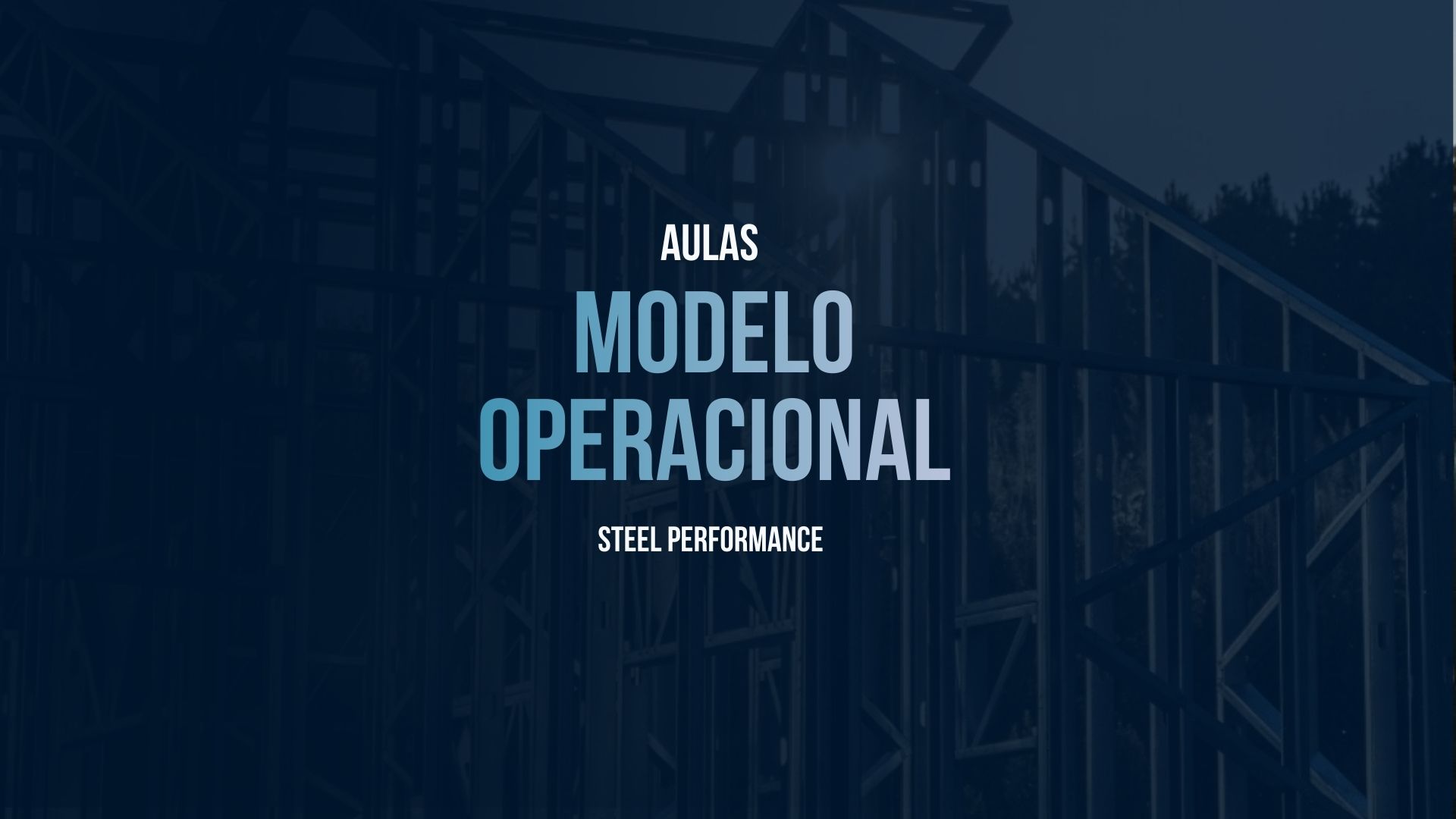 08 - Curso de Gestão - Dominando o modelo de negócio com LSF 13 MODELO OPERACIONAL